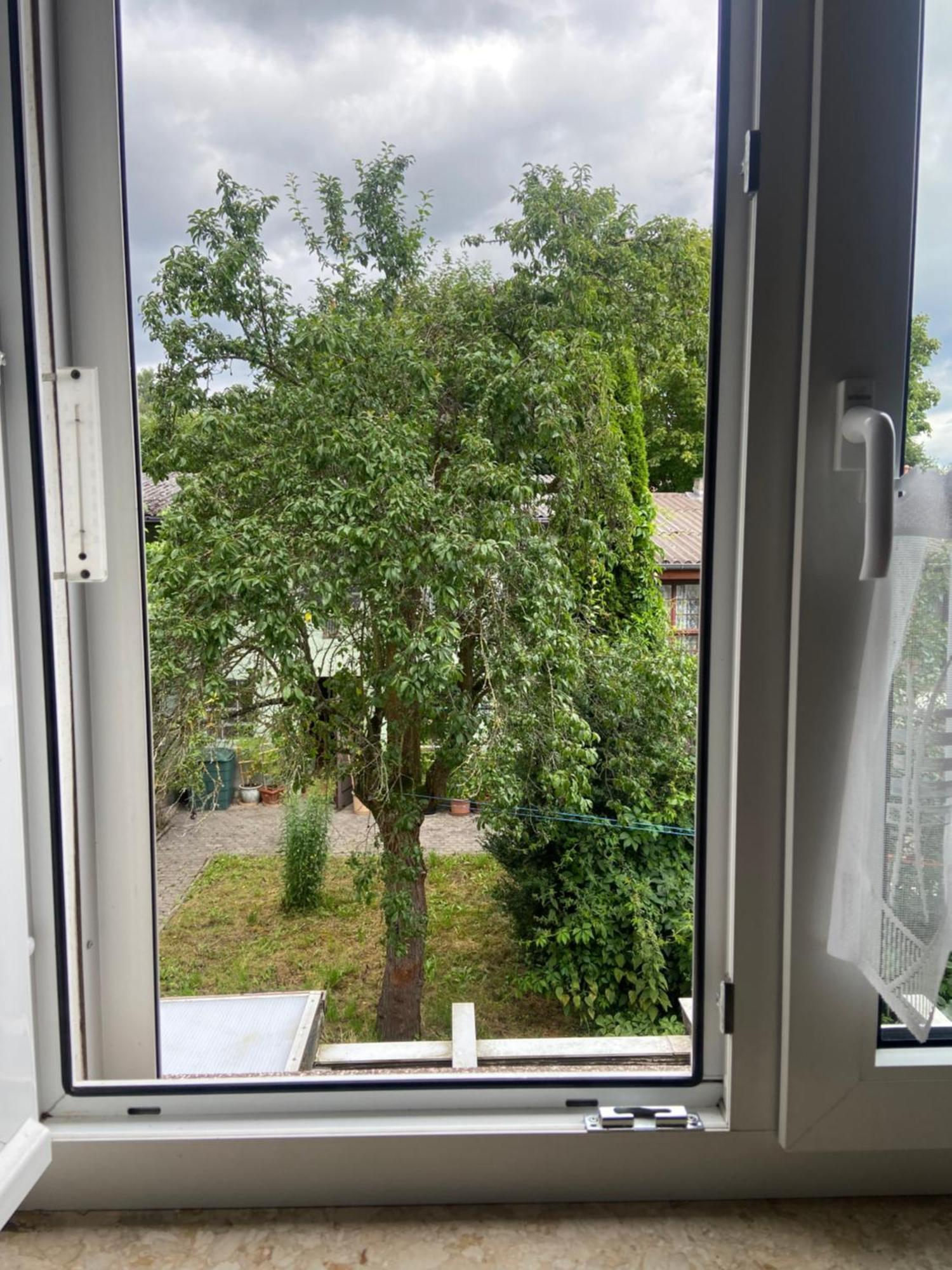 Stadtzentrumnahe Wohnung An Der Gruenen Aue, Kostenfreier Parkplatz Фулда Екстериор снимка